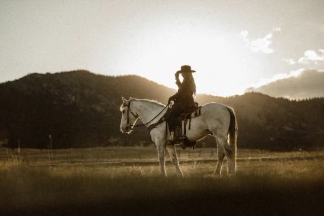 A cowboy sits atop a horse with mountains in the distance